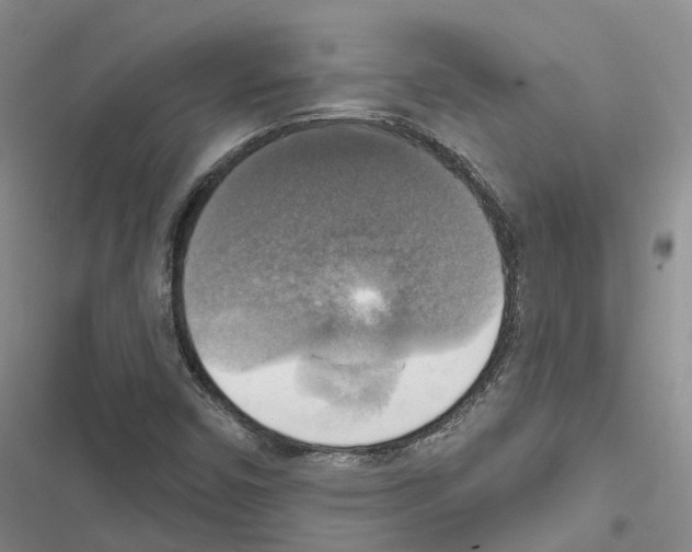 X0000116831450201001151216