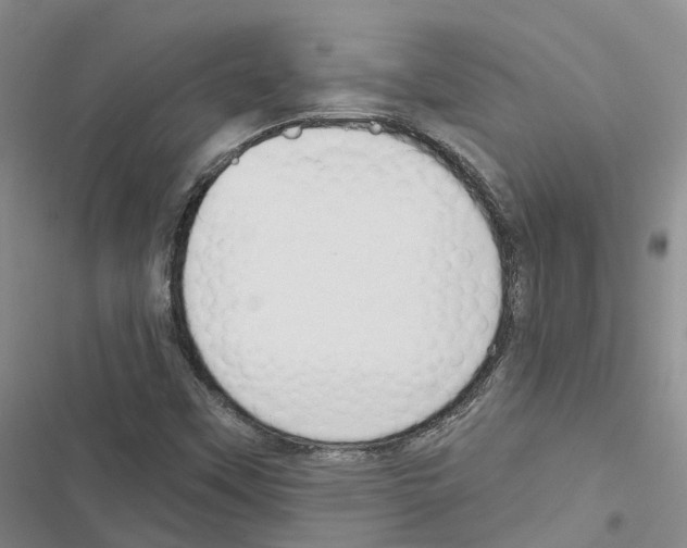 X0000116831451201001151216