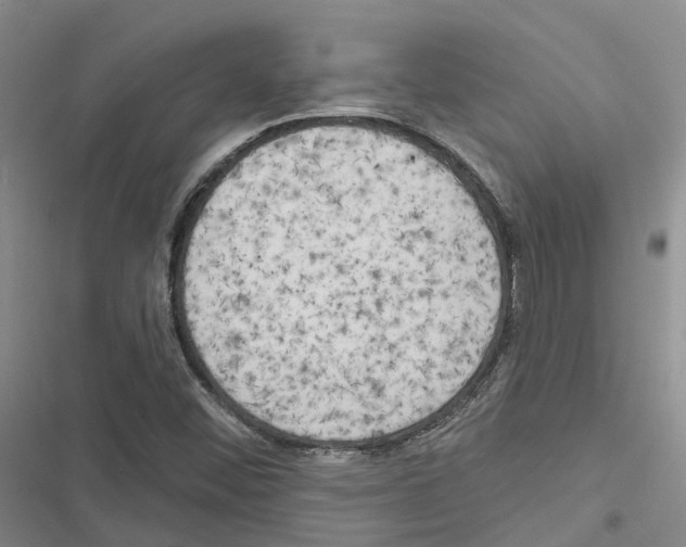 X0000116831452201001151216