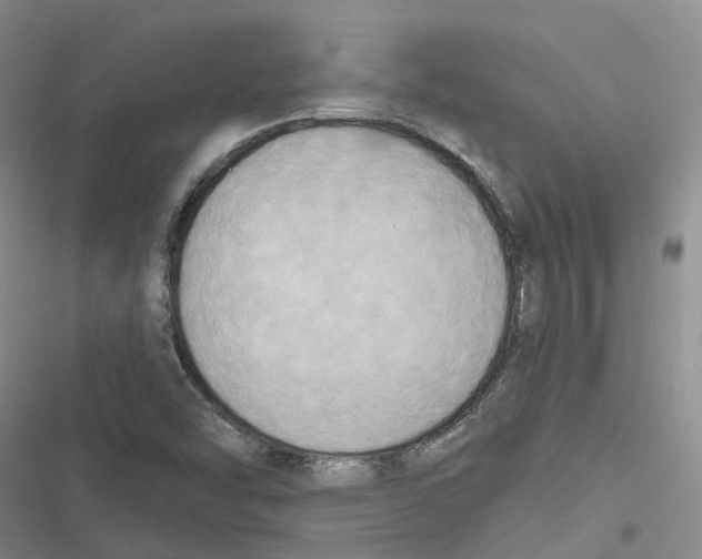 X0000116831454201001151216