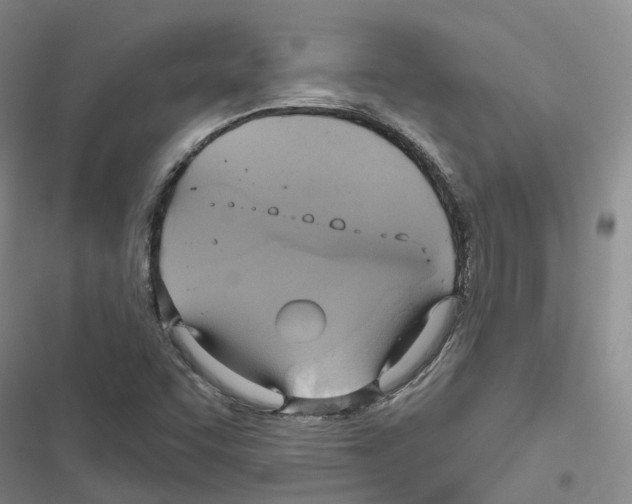 X0000116831455201001151216