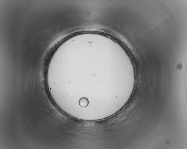 X0000116831456201001151216