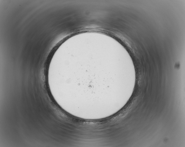 X0000116831458201001151216