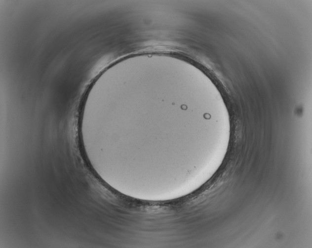 X0000116831459201001151216