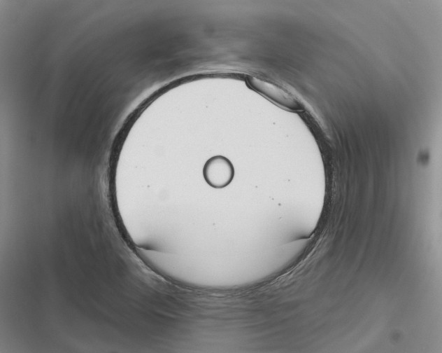 X0000116831460201001151216