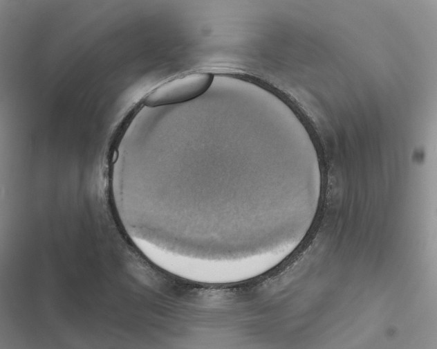 X0000116831461201001151216