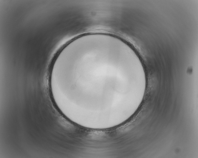 X0000116831462201001151216