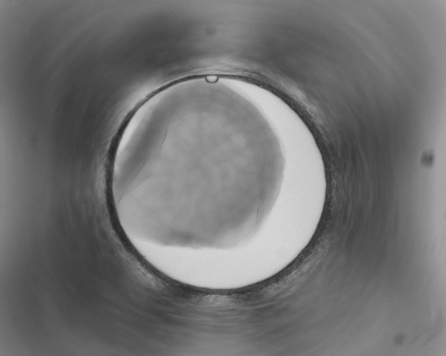 X0000116831463201001151216