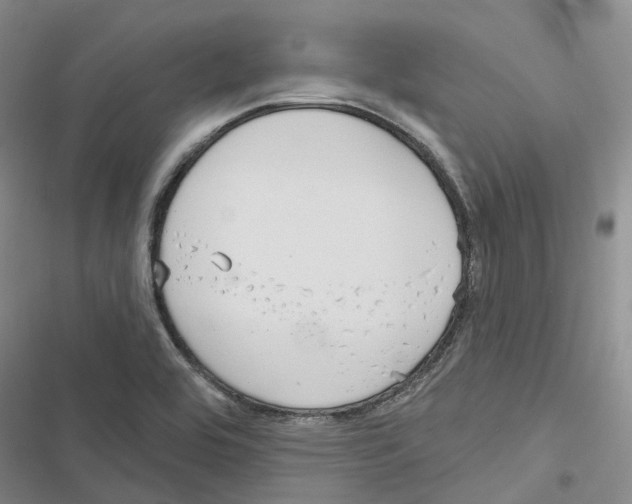 X0000116831464201001151216