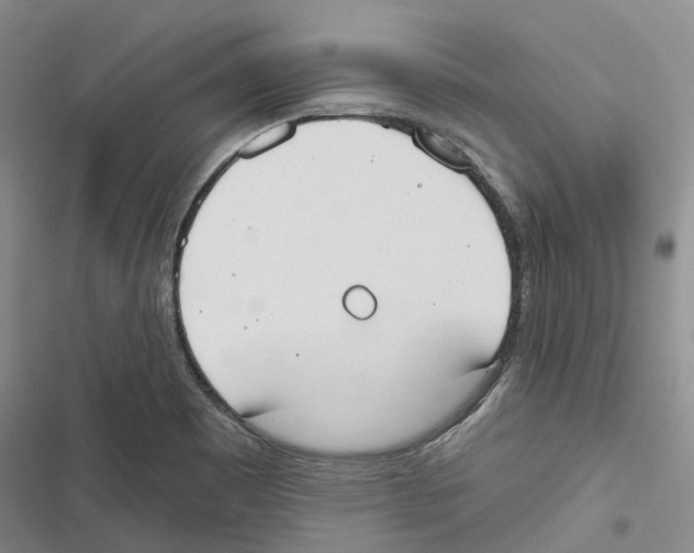 X0000116831465201001151216