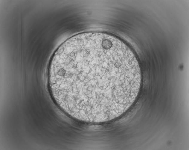 X0000116831467201001151216