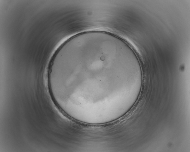 X0000116831468201001151216