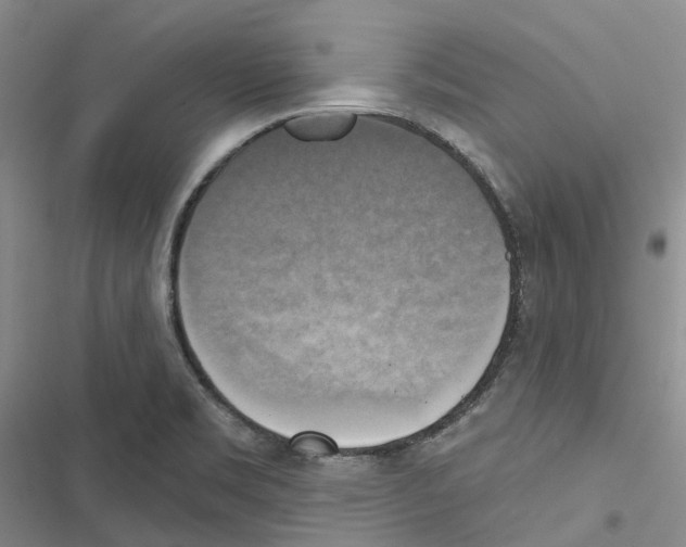 X0000116831469201001151216