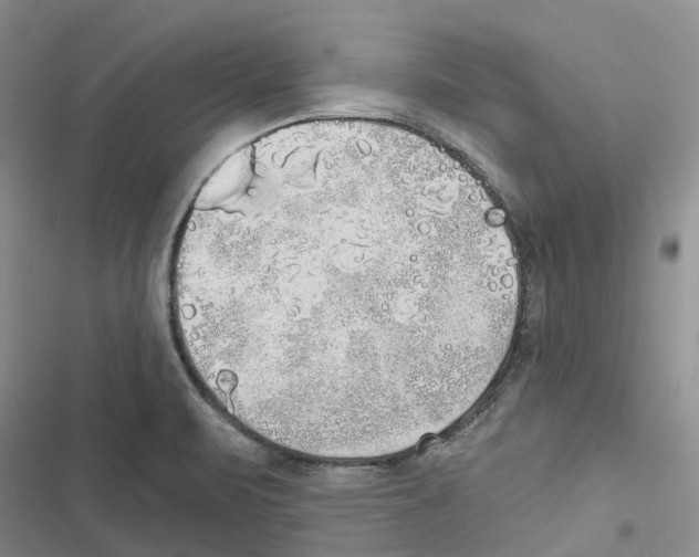 X0000116831471201001151216