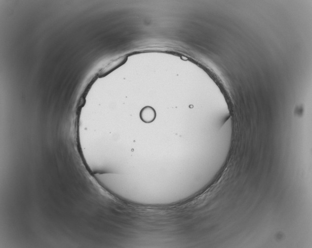 X0000116831472201001151216