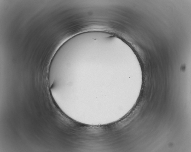 X0000116831473201001151216