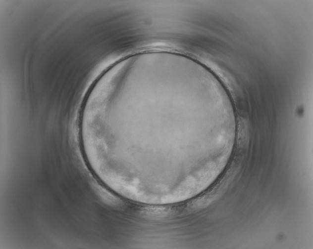 X0000116831474201001151216