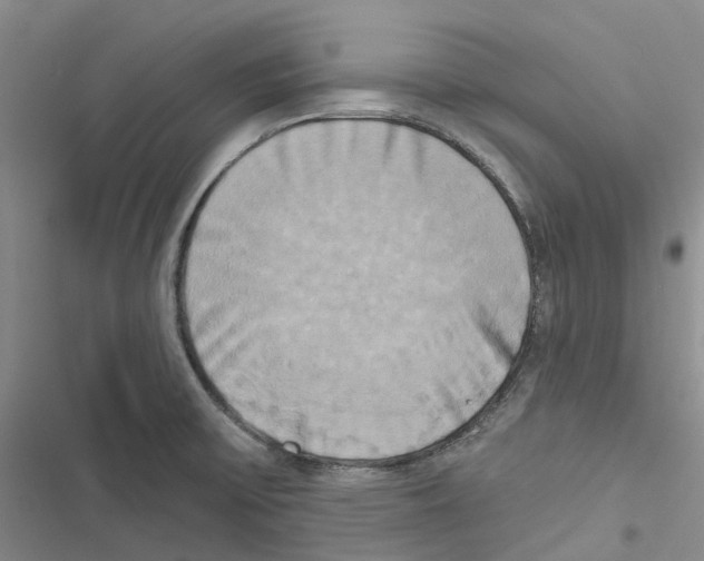 X0000116831475201001151216