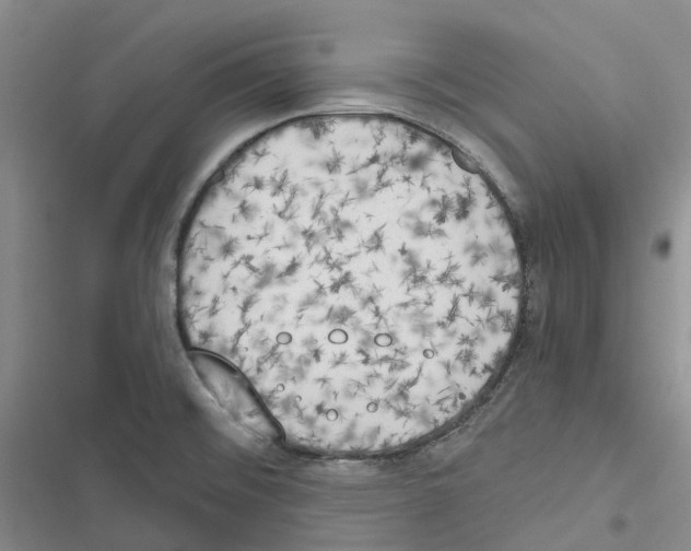 X0000116831476201001151216