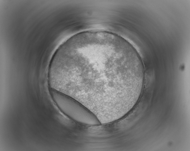 X0000116831477201001151216