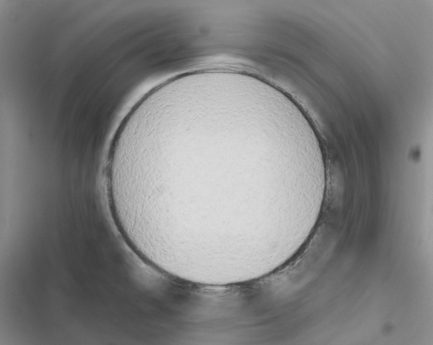 X0000116831478201001151216