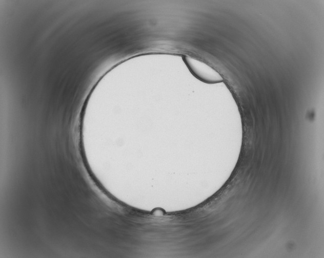 X0000116831479201001151216