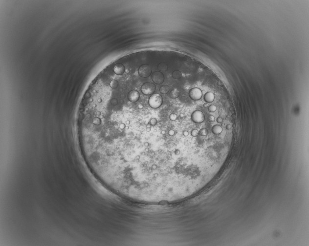 X0000116831482201001151216