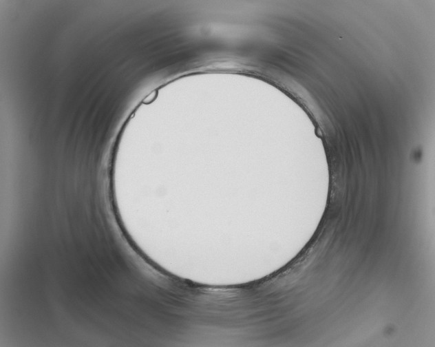 X0000116831483201001151216