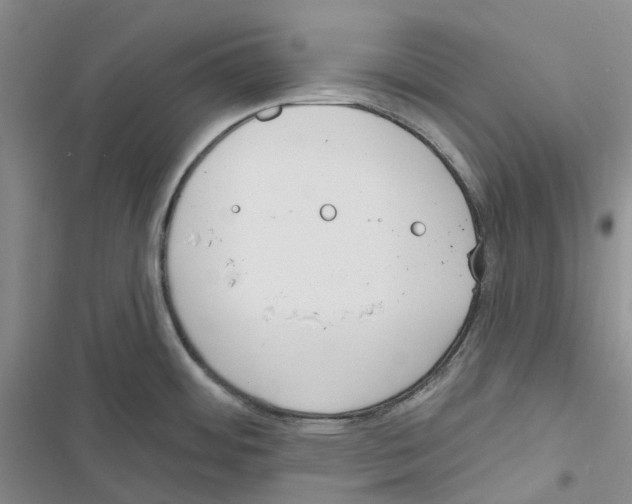 X0000116831484201001151216