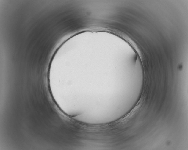 X0000116831485201001151216