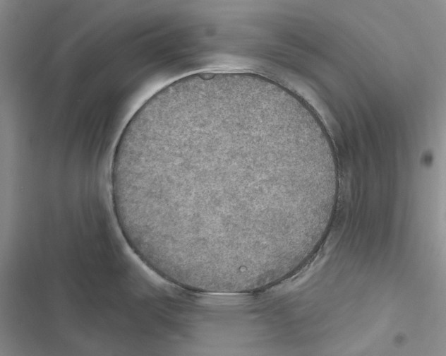 X0000116831487201001151216