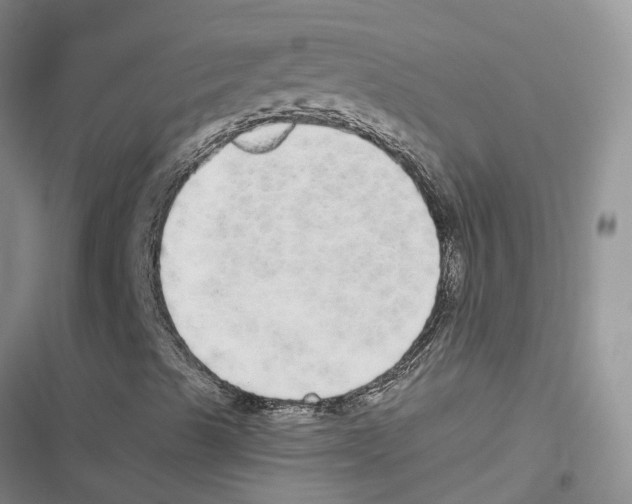 X0000116831489201001151215