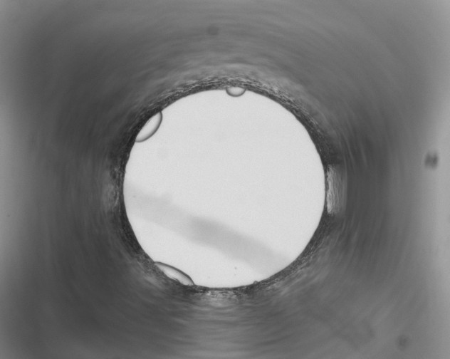 X0000116831491201001151215