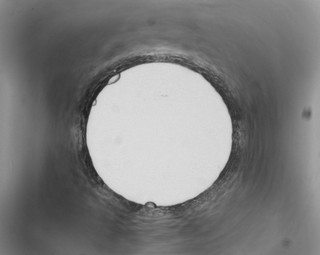 X0000116831493201001151215