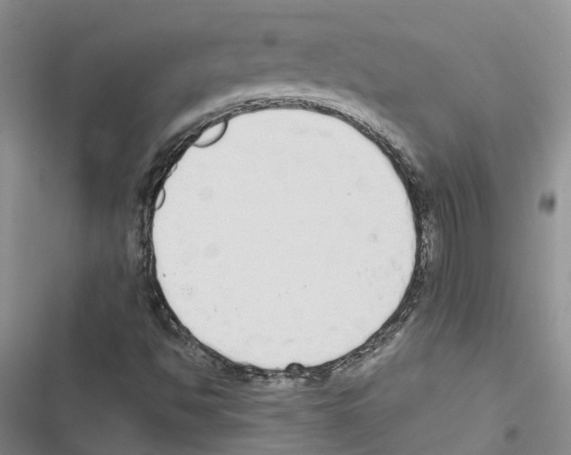 X0000116831494201001151215