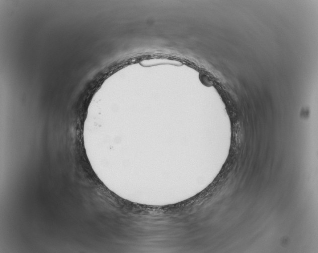 X0000116831495201001151215