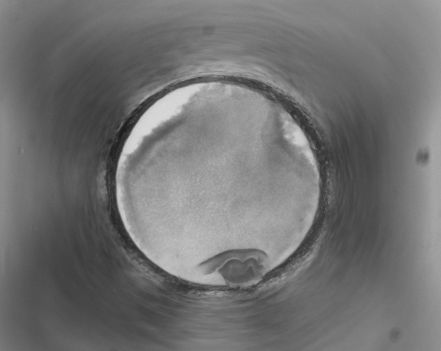 X0000116831497201001151215