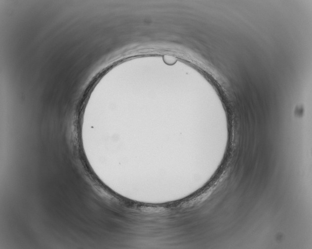 X0000116831498201001151215