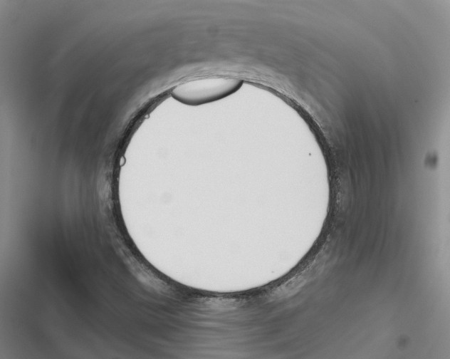 X0000116831499201001151215