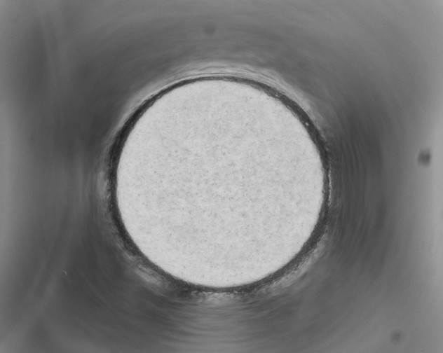 X0000116831501201001151215