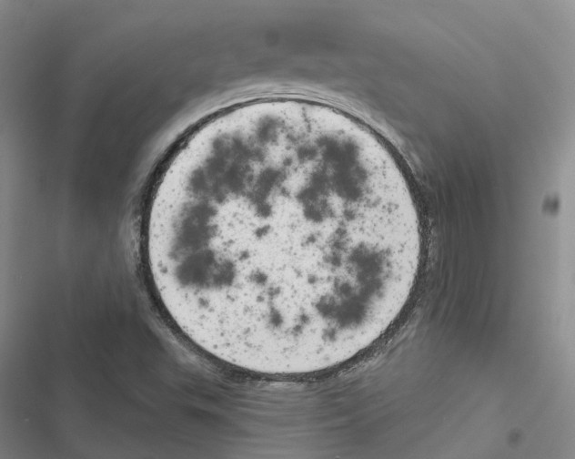 X0000116831503201001151215