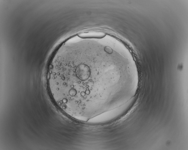 X0000116831506201001151215