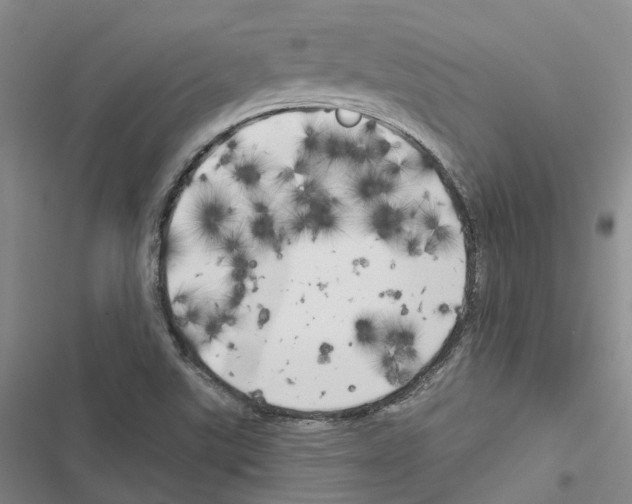 X0000116831507201001151215