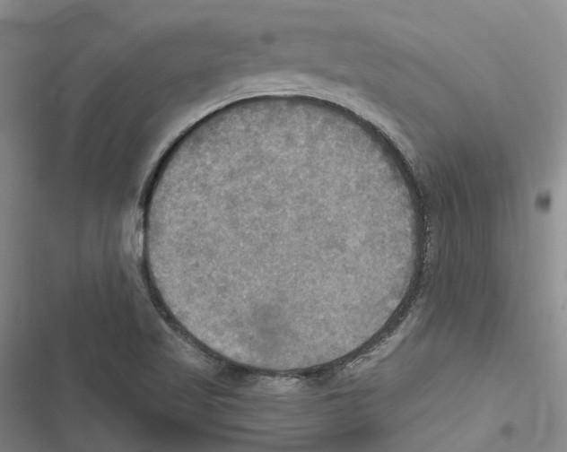 X0000116831509201001151215