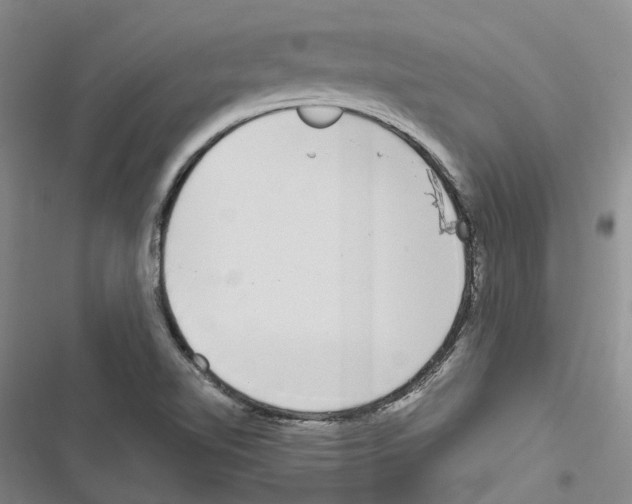 X0000116831510201001151215