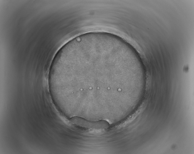 X0000116831513201001151215