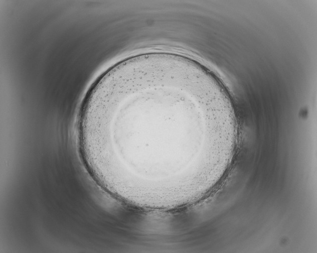 X0000116831514201001151215