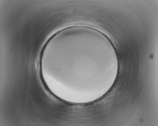 X0000116831515201001151215