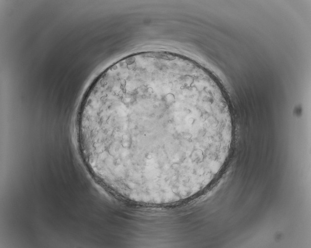 X0000116831517201001151215