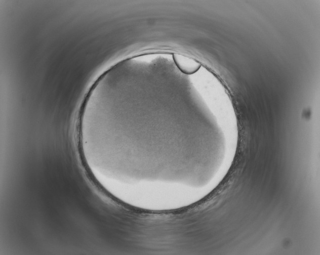 X0000116831519201001151215